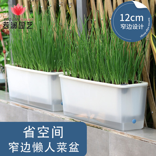 12cm宽阳台种菜盆蔬菜种植专用箱超窄窗沿边长方形多肉花槽懒人盆