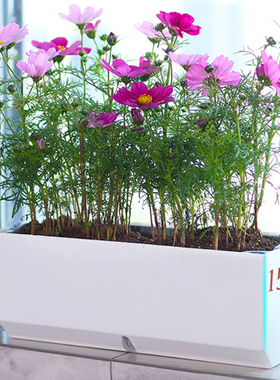 15cm宽阳台窄边长方形花盆窗台细窄种菜盆多肉花槽自吸水种花盆