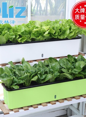 15cm宽加长窄边阳台种菜盆长方形花槽蔬菜种植专用箱窗台葱懒人盆