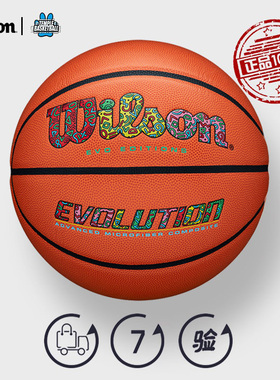 Wilson威尔胜篮球 卡通彩色限定室内专业比赛标准7号WZ1010501CN7