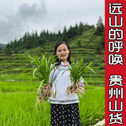 贵州山货花卉绿植直播