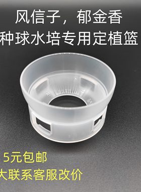 风信子 郁金香 仙人球 多肉 球型花卉 种球 水培定植篮 水培花盆