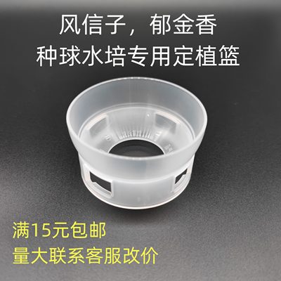 风信子 郁金香 仙人球 多肉 球型花卉 种球 水培定植篮 水培花盆