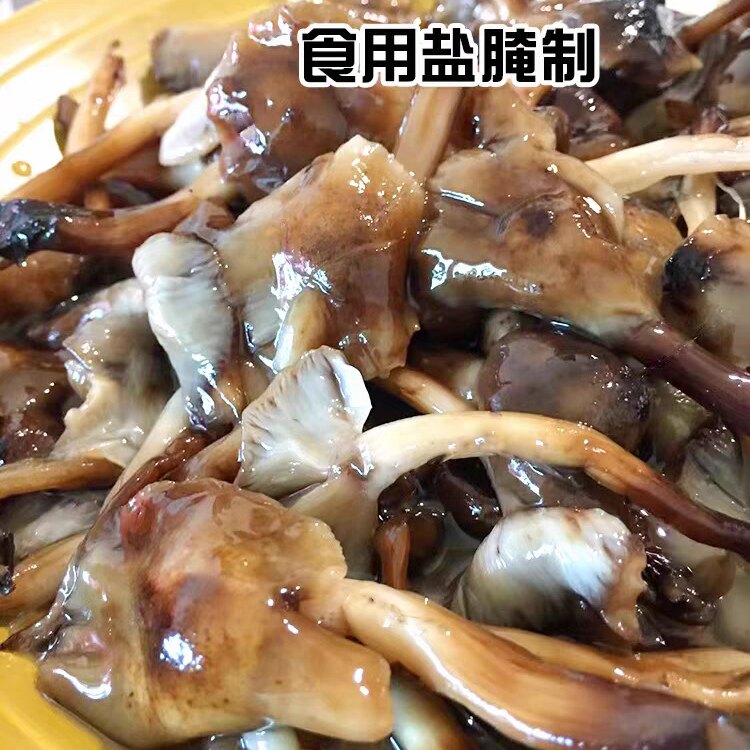 腌制榛蘑东北特产榛蘑山货咸榛蘑小鸡炖蘑菇黑龙江咸榛蘑