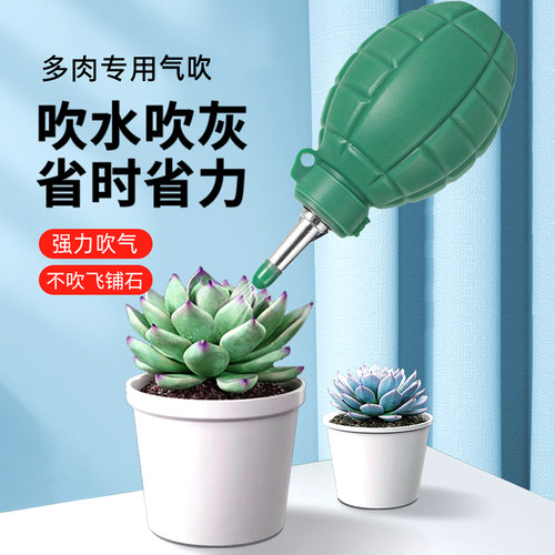 多肉吹水神器强力气吹