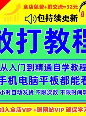 散打教学视频教程零基础自学习自由搏击格斗课程拳击防身武术课