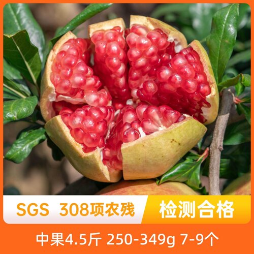 新鲜应季水果辰颐物语