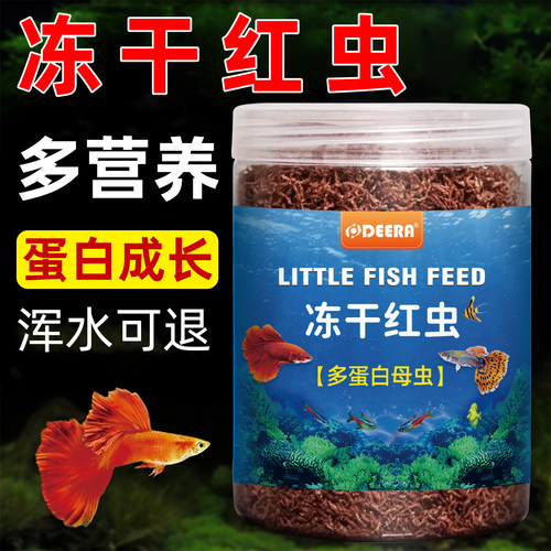 红虫鱼食孔雀鱼小型鱼冻干冰冻