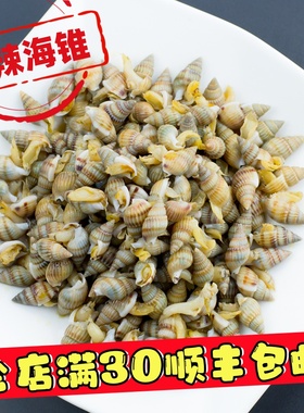 顺丰包邮 海贝勒麻辣海锥香辣海螺丝香辣海瓜子钉螺即食海鲜200g