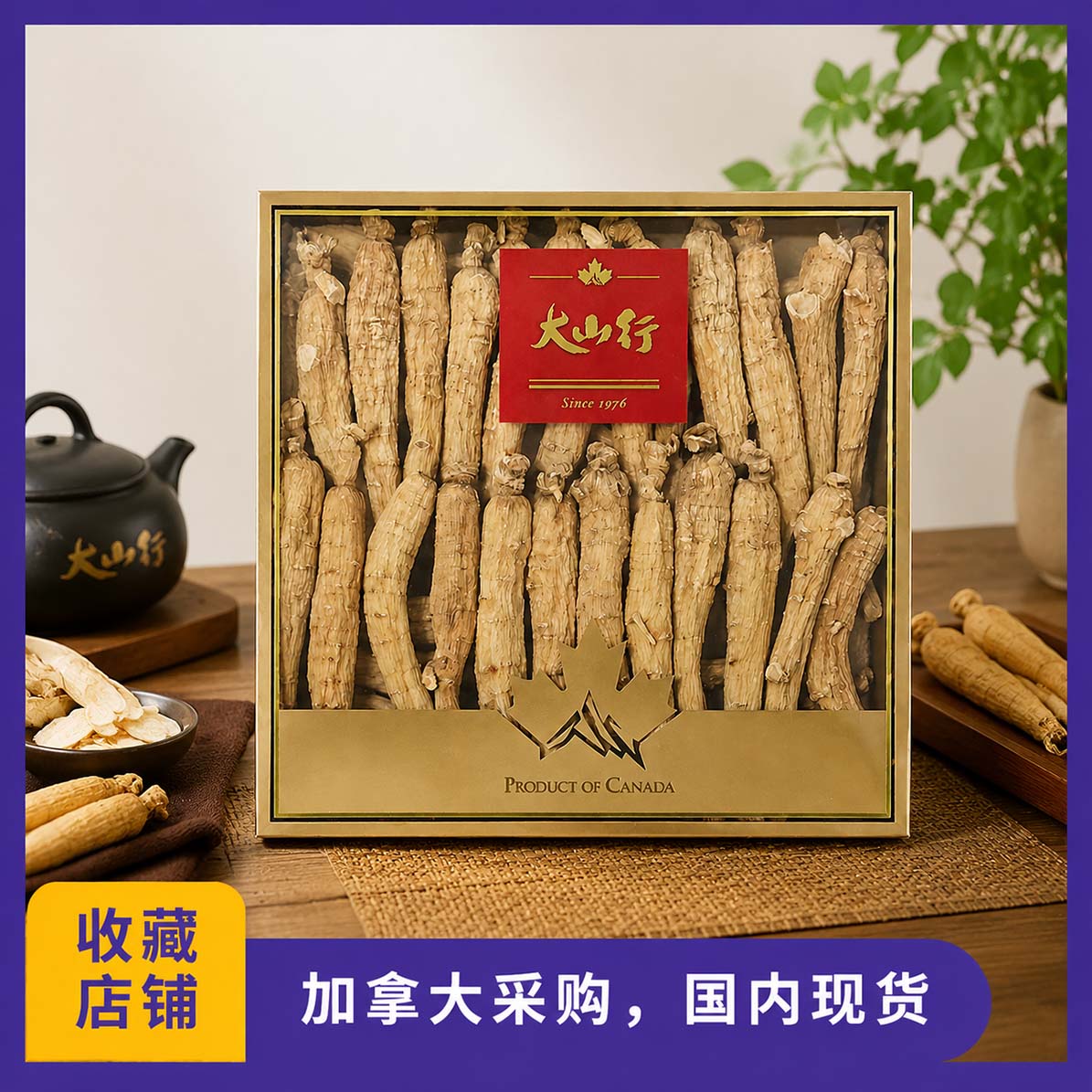 国内现货，加拿大原装正品 大山行西洋参长枝(长枝59 227g/盒)