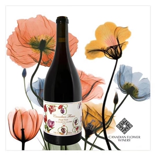 现货，加拿大之花Pillitteri 黑比诺干红葡萄酒 750ml/瓶