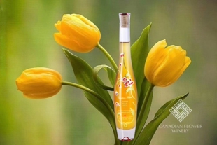 [现货] 加拿大冰酒 Pillitteri派利特瑞加拿大之花维达尔白冰酒