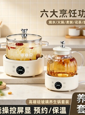 养生壶全自动加厚玻璃煎中药壶
