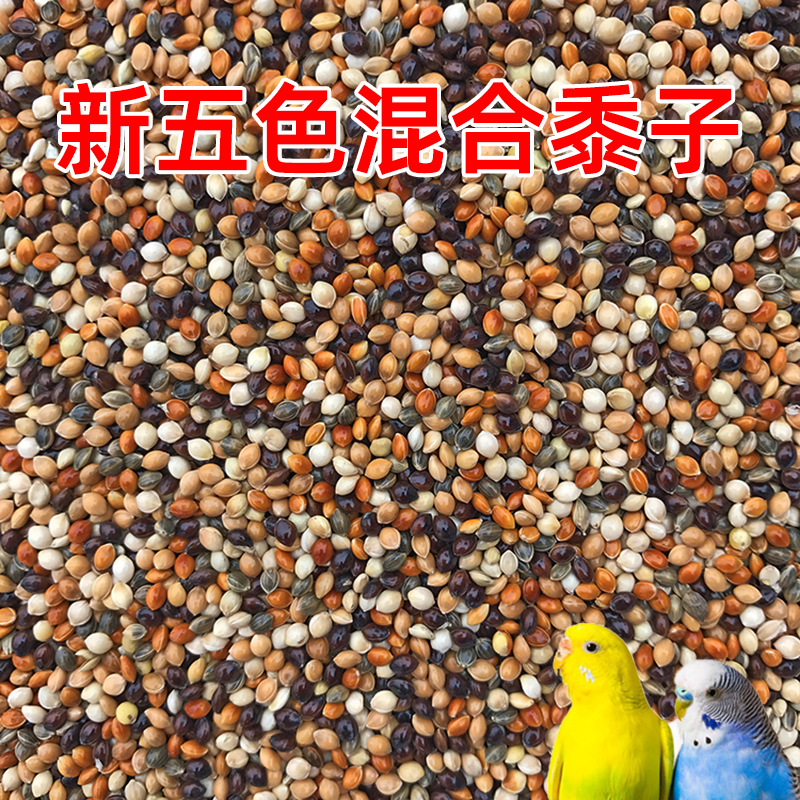 虎皮牡丹玄凤中小型鹦鹉鸟食饲料五色黍子鹦鹉混合粮谷子带壳鸟粮
