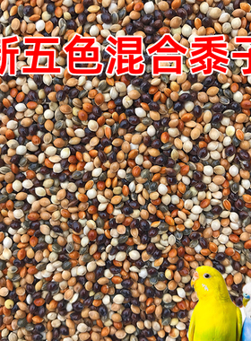 虎皮牡丹玄凤中小型鹦鹉鸟食饲料五色黍子鹦鹉混合粮谷子带壳鸟粮