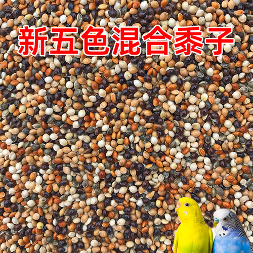 虎皮牡丹玄凤中小型鹦鹉鸟食饲料五色黍子鹦鹉混合粮谷子带壳鸟粮