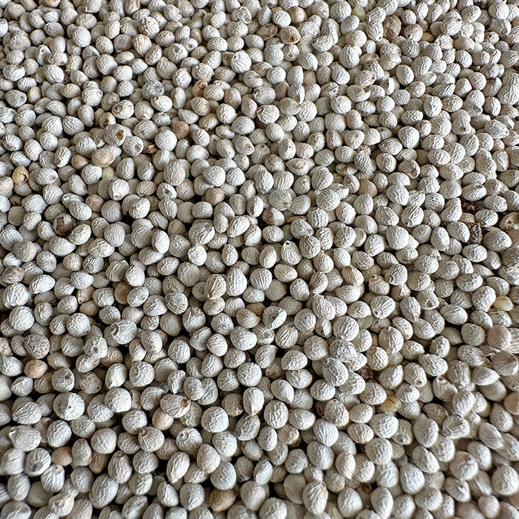 白苏子芙蓉鸟金丝雀鸟粮鸟食