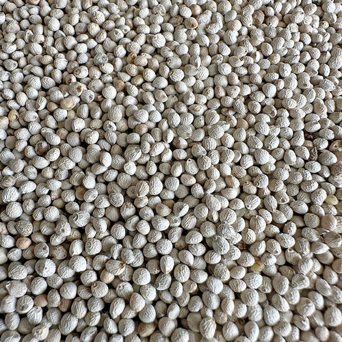 白苏子鸟食新白苏子鸟粮鹦鹉玉鸟芙蓉鸟金丝雀黄雀薄皮软苏子鸟食