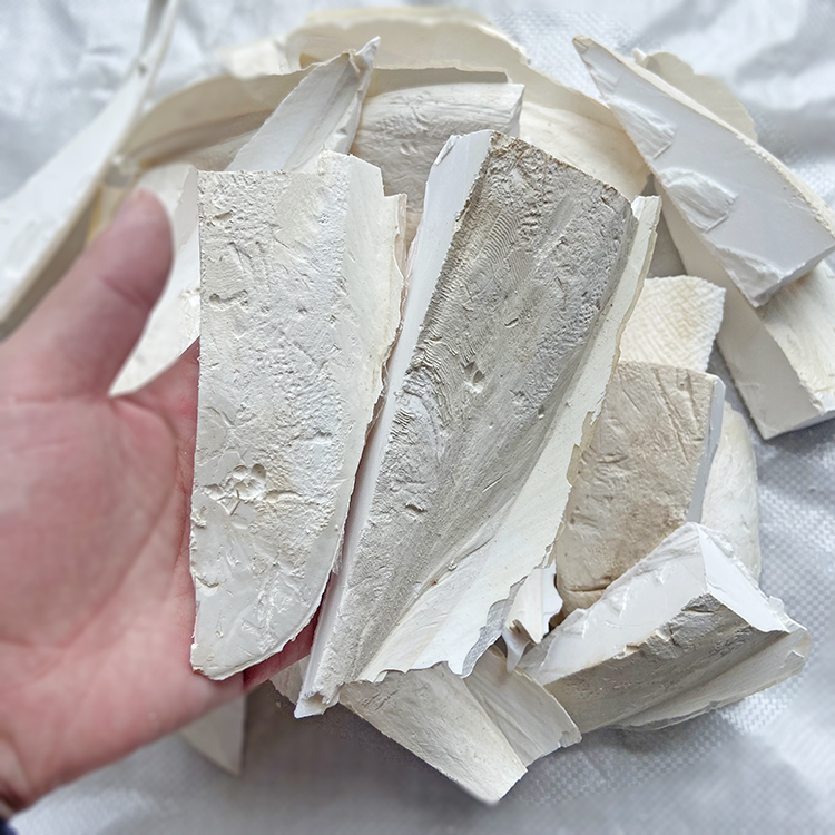 断的碎块鹦鹉精选补钙墨鱼骨海螵蛸 虎皮鹦鹉墨鱼骨原料