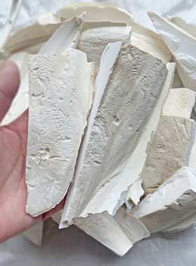 断的碎块鹦鹉精选补钙墨鱼骨海螵蛸 虎皮鹦鹉墨鱼骨原料