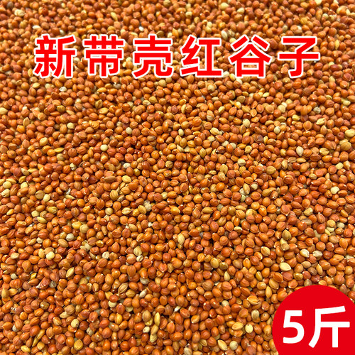 红谷子鹦鹉鸟食鸟粮5斤