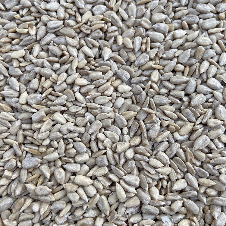 新油葵仁生油嗑籽仁 油嗑 无壳 鹦鹉无壳鸟粮 粒大饱满生的瓜子米,宠物/宠物食品及用品,鸟食,淘宝优惠券,粉丝福利购,淘宝优惠卷