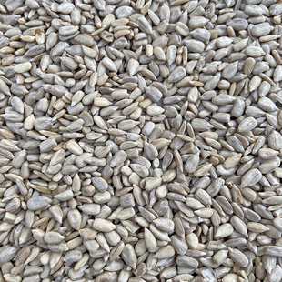 新油葵仁生油嗑籽仁 油嗑 无壳 鹦鹉无壳鸟粮 粒大饱满生的瓜子米