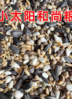 小太阳专用鸟粮和尚鸟饲料麻子鸟粮鸟食种子粮混合粮爱鸟坊鸟粮