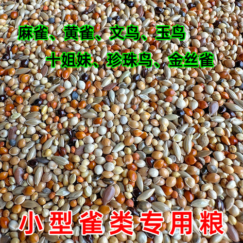 文鸟芙蓉金丝雀专用粮