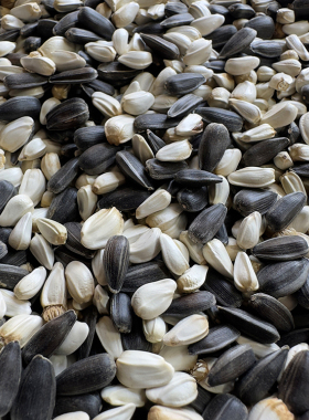 油葵黑珍珠小瓜子红花籽2合1混合中型鹦鹉鸟食鸟粮