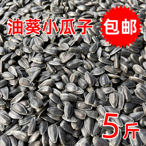 生黑珍珠小瓜子油嗑油葵籽鹦鹉鸟食饲料仓鼠零食鸟粮鸽粮5斤包邮