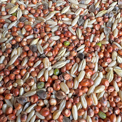 斑鸠混合魔术鸽鸽山鸡粮竹鸟食