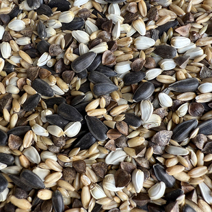 小太阳鹦鹉鸟粮饲料和尚专用鸟食五合一混合粮蜡嘴玄凤种子粮