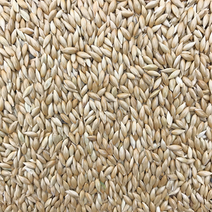 鹦鹉鸟食饲料 加纳利子 白尖粟 金丝雀芙蓉鹦鹉黄雀鸟粮