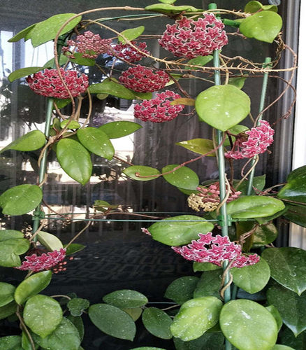 花盆支架支柱价格 多少钱