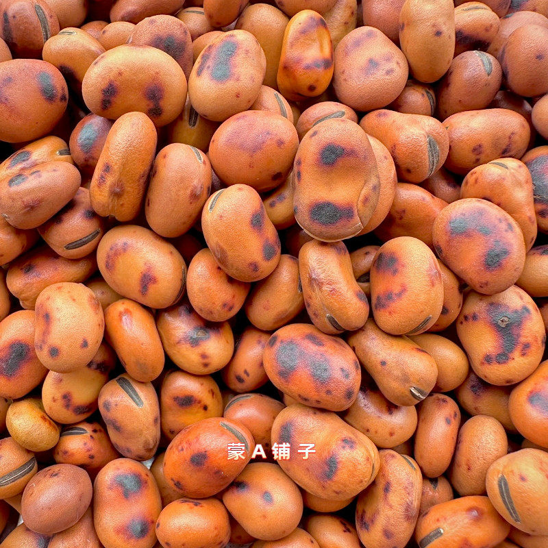干炒蚕豆炒货干炒原味蚕豆硬大豆新货铁板胡豆铁豆崩豆磨牙特硬怀