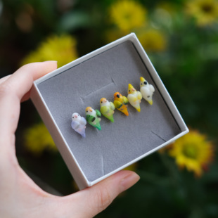 JEQUINTA夏日多巴胺彩色紫伊莎绿金顶凤头鹦鹉耳钉玄凤动物耳夹