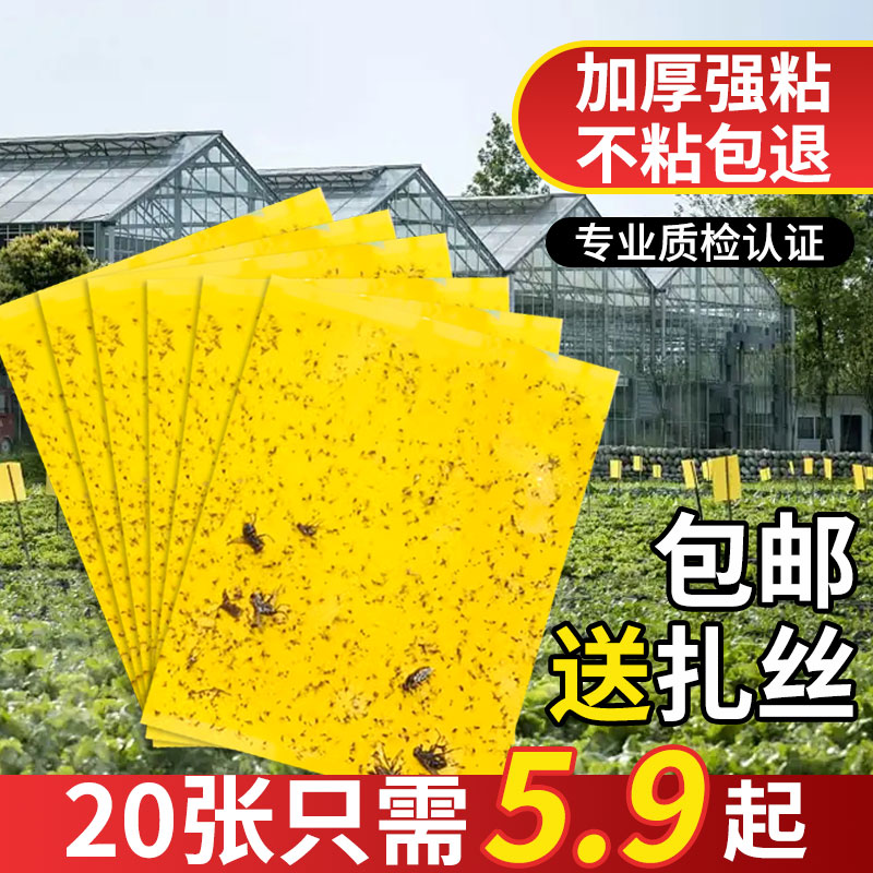 农业用防水蓟马双面粘虫板笆笆啦