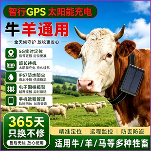 牛羊定位器gps北斗卫星追踪神器山区放牧专用追跟动物防丢定仪器j
