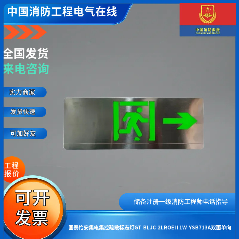 国泰怡安集电集控疏散标志灯GT-BLJC-2LROEⅡ1W-YSB713A双面单向