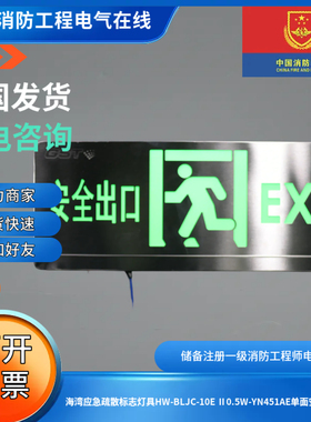 海湾应急疏散标志灯具HW-BLJC-10E Ⅱ0.5W-YN451AE单面安全出口牌