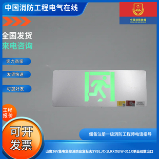 山鹰36V集电集控消防疏散标志SYBLJC 311X单面疏散出口 1LRXOEIW