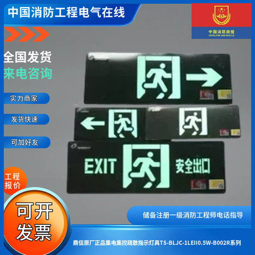 鼎信原厂正品集电集控疏散指示灯具TS-BLJC-1LEII0.5W-B002R系列