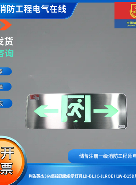 利达英杰36v集控疏散指示灯具LD-BLJC-1LROE II1W-B15D单面双向