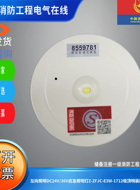 左向照明DC24V/36V应急照明灯Z-ZFJC-E3W-1712吸顶明装嵌入应急灯