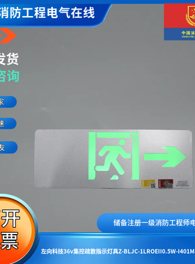 左向科技36v集控疏散指示灯具Z-BLJC-1LROEII0.5W-I401M单面向右
