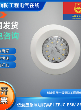 现货依爱老款24V集控应急灯2线EI-ZFJC-E5W-8645NX/8643NX吸明装