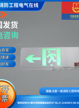 现货尼特36V集中控制疏散标志灯NT-BLJC-1LRX0EⅡ1W-26X单面向左
