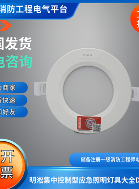 明淞DC36集中电源集中控制型应急灯具MC-ZFZC-E3W-1313B嵌入式