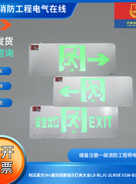 利达英杰36v集控疏散指示灯具大全LD-BLJC-2LROE II1W-B15-2系列